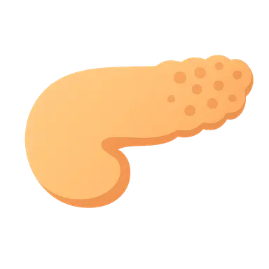 Diabetes mellitus pathology
