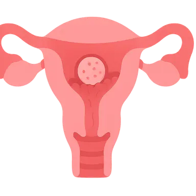 Implantation physiology