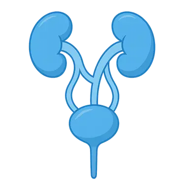 Genitourinary anomalies