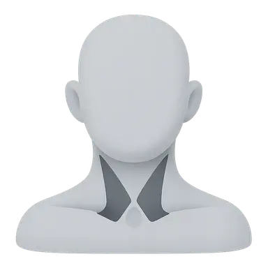 Triangles of the neck