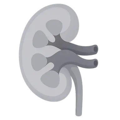 Developmental Anatomy Variations