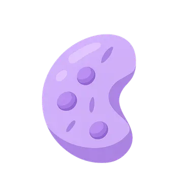 Primary Immunodeficiency Disorders