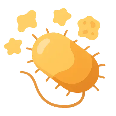 Bacterial virulence factors