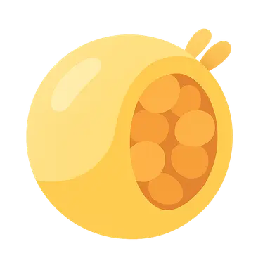 Lipoprotein Metabolism and Transport