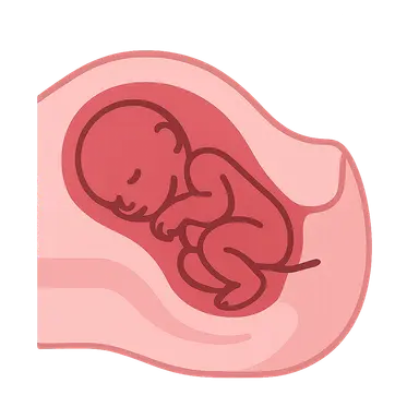 Cesarean Section Techniques