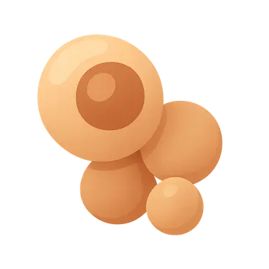 Pneumocystis jirovecii