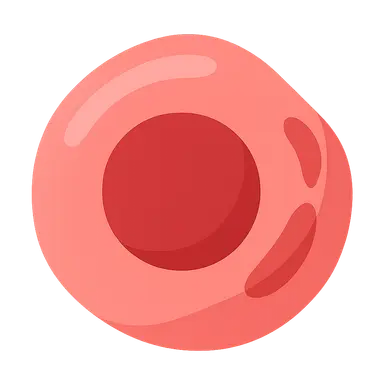 Plasma cell disorders