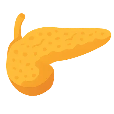 Chronic pancreatitis pathophysiology