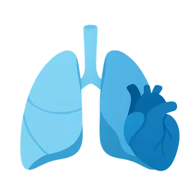Normal V/Q distribution