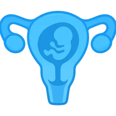 Medical Termination of Pregnancy Act