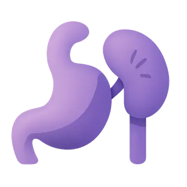 Spleen development