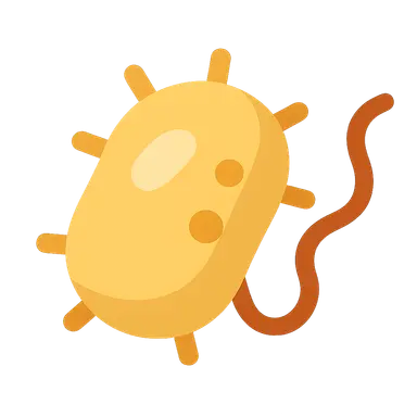 Genetics of Antimicrobial Resistance