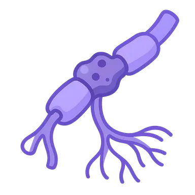 Peripheral nerve disorders