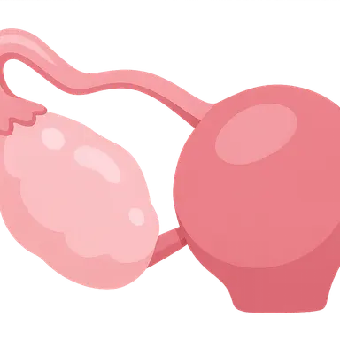 Ovarian cystectomy and oophorectomy