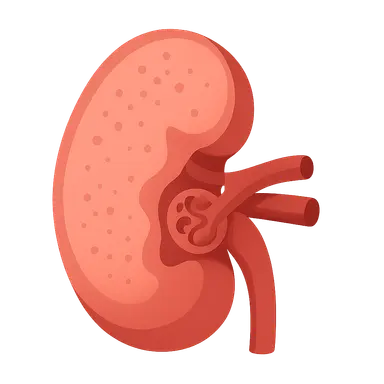 Hypertensive nephrosclerosis