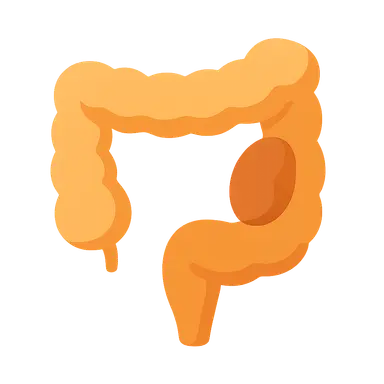 Large bowel obstruction