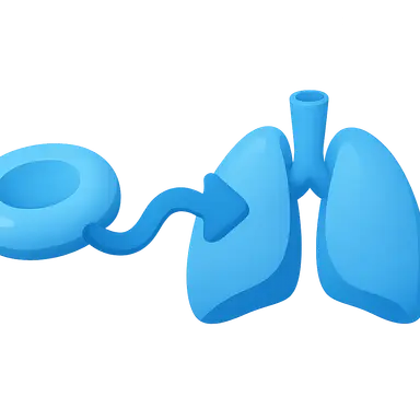 Carbon dioxide transport