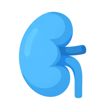 Disorders of Electrolyte Balance