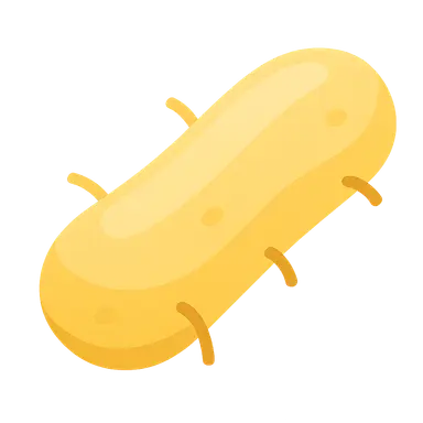 Antimycobacterial Drugs