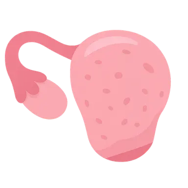 Primary Ovarian Insufficiency