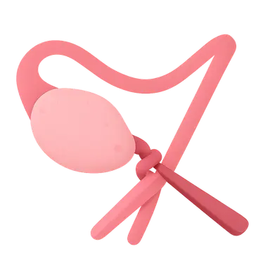 Ovarian torsion management