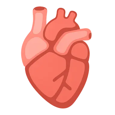 Isovolumetric contraction and relaxation