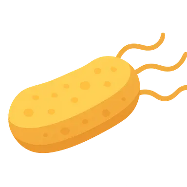 Legionella pneumophila