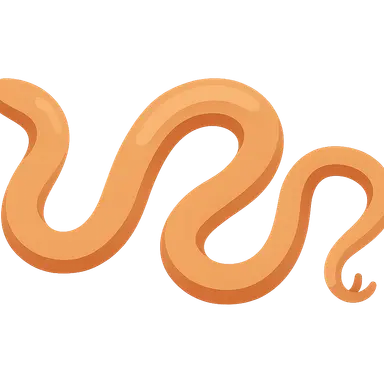 Soil-transmitted helminths