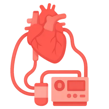 Cardiopulmonary Bypass Principles