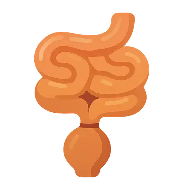 Small bowel obstruction