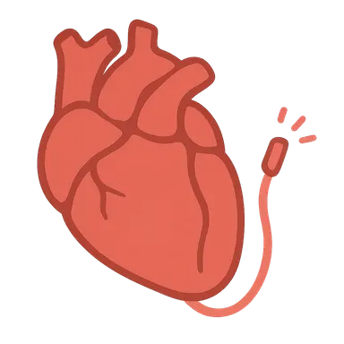 Catheter ablation procedures