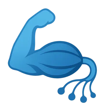 Neuromuscular Adaptations to Training