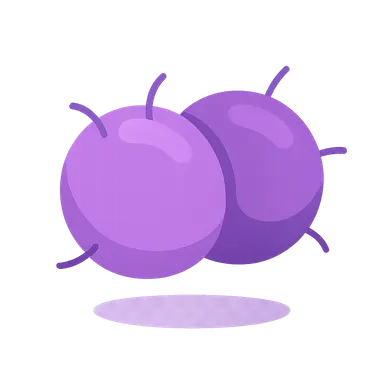 Neisseria species (meningitidis, gonorrhoeae)