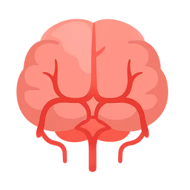 Posterior cerebral artery territory