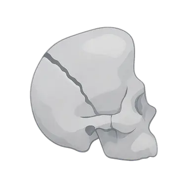 Temporal Bone Fractures