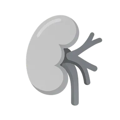 Anatomical variations and clinical significance