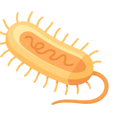 Bacterial cell structure and physiology