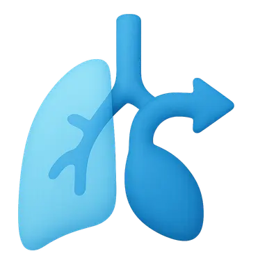 Shunt physiology (low V/Q)