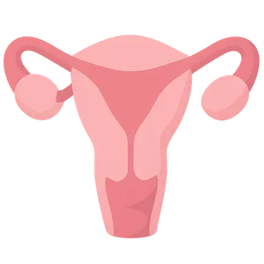 Screening for preeclampsia risk factors