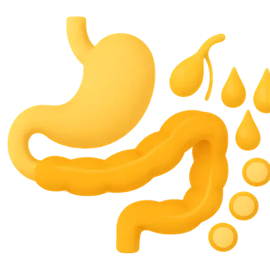 Lipid digestion and absorption