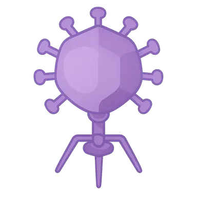 Viral structure and classification