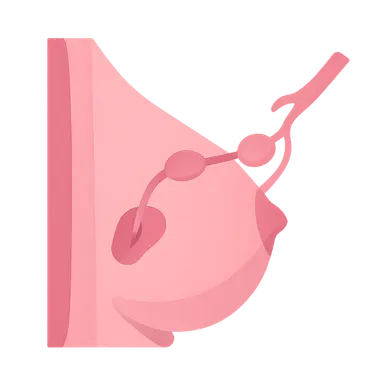 Sentinel Lymph Node Biopsy