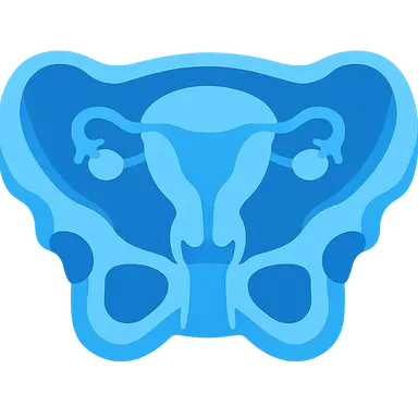 Pelvic cross-sections