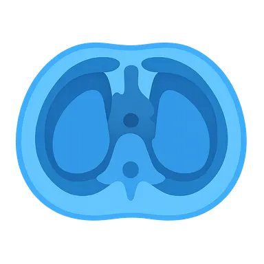 Thoracic cross-sections