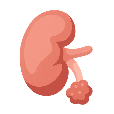 Nephrectomy indications