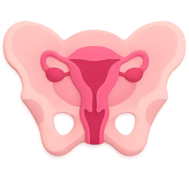 Female Pelvic Imaging