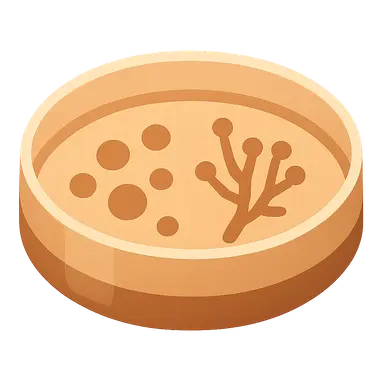 Diagnostic approaches for dimorphic fungi