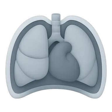Thoracic Imaging and Cross-sectional Anatomy