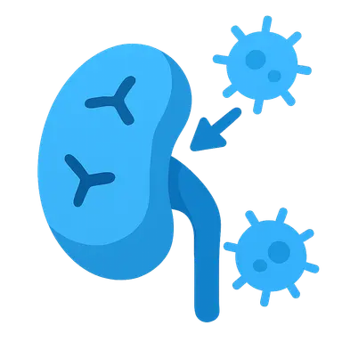 Autoimmune mechanisms