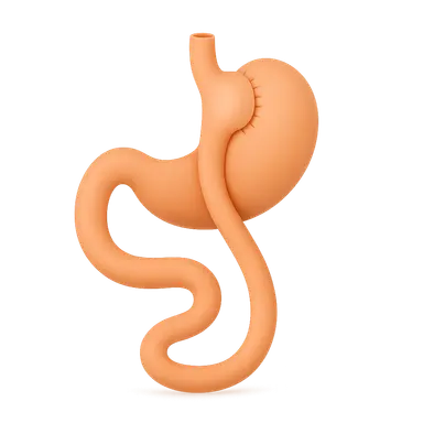 Roux-en-Y Gastric Bypass